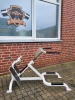 CYBEX GYM BACK EXTENSION RÜCKENSTRECKER KRAFTGERÄT 80 Nordrhein-Westfalen - Senden Vorschau