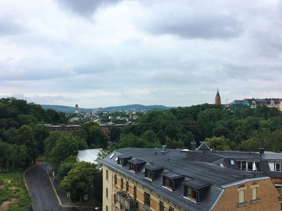 *BIRI* - 2-Raum-Wohnung mit EBK in zentrumsnaher Lage in Plauen