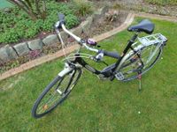 Maxcycles Damenfahrrad "Lady Lite" 26 Zoll Räder Niedersachsen - Bad Iburg Vorschau