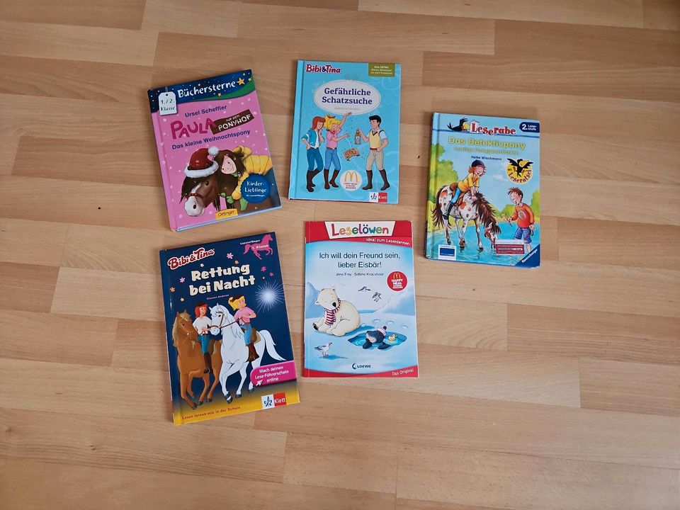 Bibi und Tina Buch Leserabe Leselöwen PAKET 1. / 2.Klasse Pferd in Kelheim