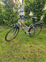 Damenfahrrad Saarland - Ottweiler Vorschau