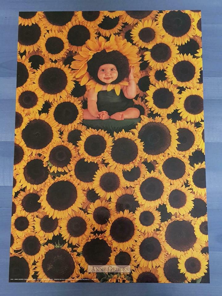Anne Geddes Sunflower Wall Poster Baby in Sonnenblumen 49x34cm in Bayern Waldershof kleinanzeigen