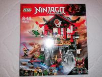 Lego Ninjago 70643 Sachsen-Anhalt - Ballenstedt Vorschau