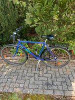 Herkules Herren Fahrrad 28 Zoll Niedersachsen - Duderstadt Vorschau