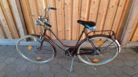 Damenrad 28er Vintage Sparta Windsor Niedersachsen - Eschede Vorschau