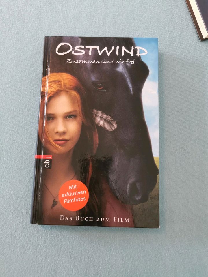 Ostwind und Ostwind 2 Buch zum Film in Blaichach