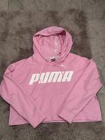 Puma Pulli Kapuzenpulli gr S Rosa Bayern - Bindlach Vorschau