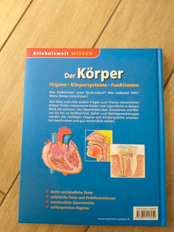 Der Körper in Göttingen