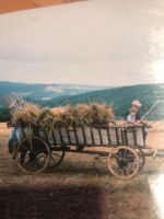 Leiterwagen, zerlegt Rheinland-Pfalz - Limbach (bei Kirn) Vorschau