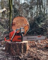 Forstarbeiten, Brennholz Niedersachsen - Pattensen Vorschau