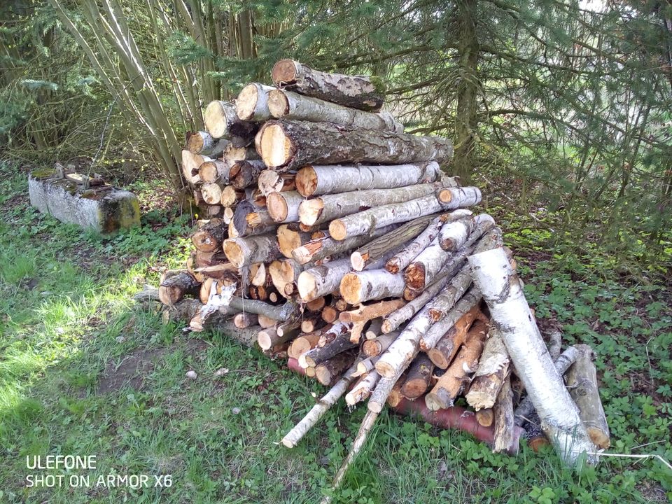Laubholz Kaminholz 2 Ster in Selb