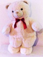 Großer  weißer  Teddybär **Ca. 67 cm ** Neu Essen - Essen-Ruhrhalbinsel Vorschau