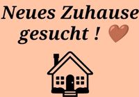 Wohnung Gesucht Düsseldorf - Eller Vorschau