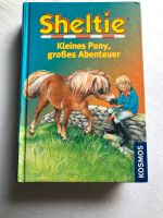 Sheltie: Kleines Pony, großes Abenteuer Kreis Pinneberg - Elmshorn Vorschau