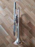 Adams A8 Selected Goldmessing 045 matt lackiert Nordrhein-Westfalen - Hamm Vorschau