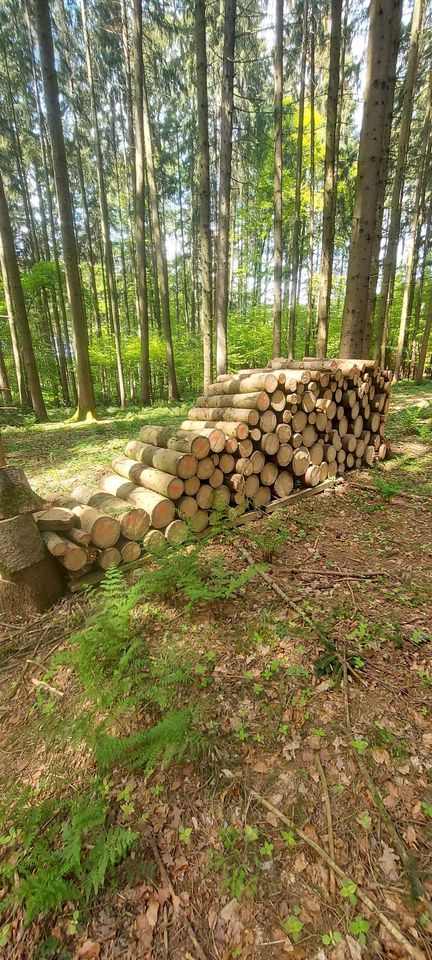 Brennholz Fichte in Kammeltal