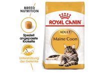 Royal Canin Maine Coon Saarland - Dillingen (Saar) Vorschau