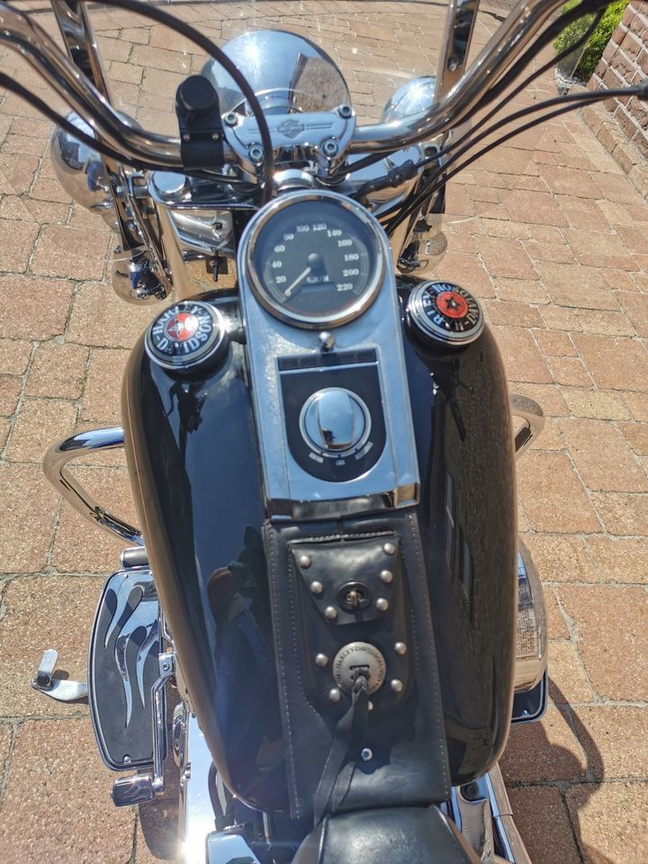 Harley Davidson Heritage Softail FLSTC EVO in Duisburg