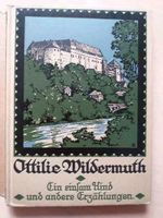 Buch: Ein einsam Kind, Ottilie Wildermuth, altes Buch, Baden-Württemberg - Ottersweier Vorschau