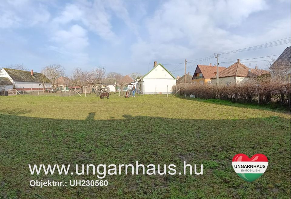 Haus in Ungarn , Südungarn renoviert ca. 2.100 qm, Tierhaltung möglich in Freudenberg