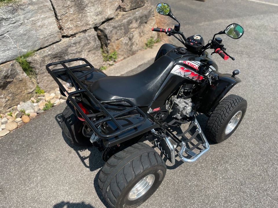 KYMCO KXR 250 | 2004 | Automatik | TOP Zustand in Reichenberg