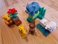 LEGO DUPLO Zoo Tierbabys 4962 Nordrhein-Westfalen - Havixbeck Vorschau