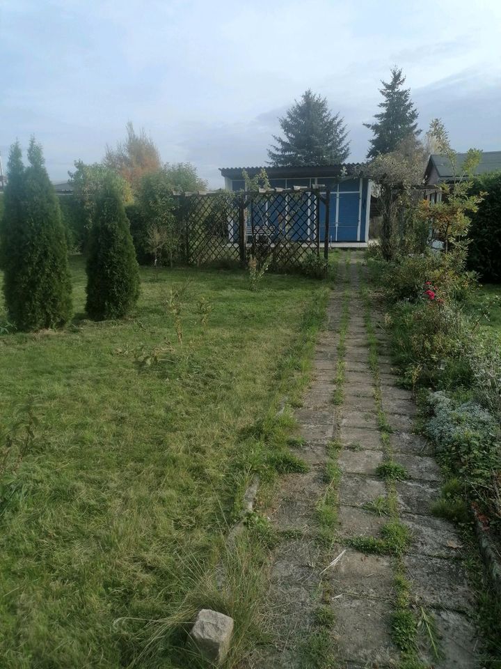 Gartengrundstück mit Laube ohne Pacht in Meuselwitz