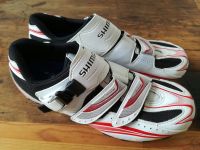 Shimano Schuhe, SPD Größe 42 mit Platten Nordrhein-Westfalen - Sankt Augustin Vorschau