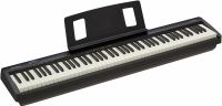 Roland FP-10 BK Stage-Piano mit 88 Tasten "NEU & OVP" Bayern - Deggendorf Vorschau