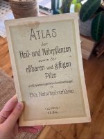 Atlas der Heil- und Nährpflanzen sowie essbaren & giftigen Pilze Bayern - Weihenzell Vorschau