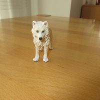 Arktischer  Wolf Weiß " Schleich " Kr. Dachau - Dachau Vorschau