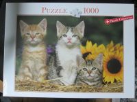 Puzzle 1000 Teile Kätzchen Katze NEU und OVP Schleswig-Holstein - Jübek Vorschau