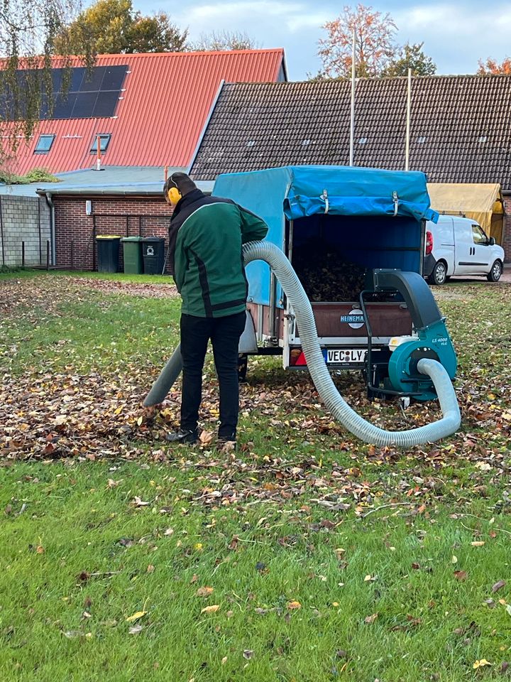 Laubsammeln Gartenpflege Gartenarbeit in Neuenkirchen-Vörden