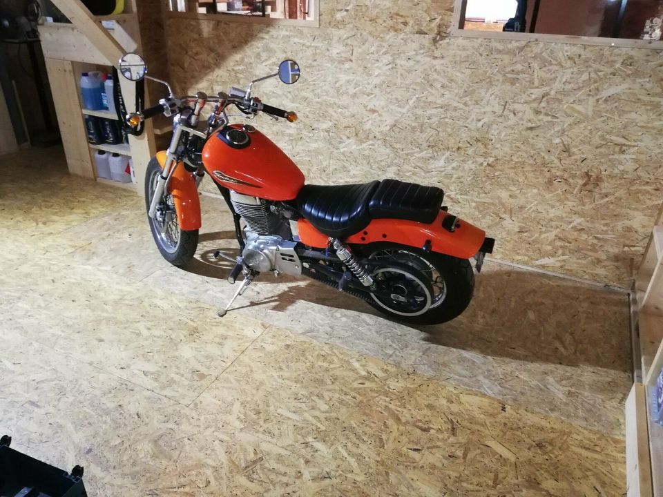 Suzuki LS 650 Savage in Wittenbeck