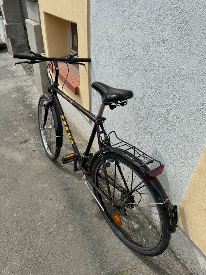 Herren Fahrrad - Gepäckträger - Licht - Voll funktionsfähig in Schleiz