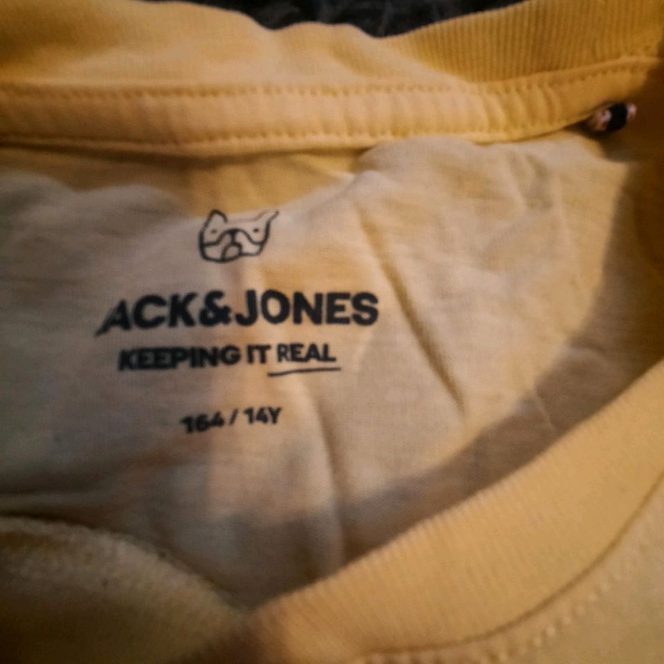 Pullover Sweatshirts verschiedene jack jones  Champion adidas in Bitburg