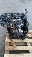 MOTOR 20tkm 2.0TDI CAGB CAGA CJCB CSUB CAGC CJCC CMEA CJCA CMFA Nordrhein-Westfalen - Schloß Holte-Stukenbrock Vorschau