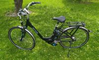 Kettler Twin RT E-Bike Damen-/UnisexFahrrad Nordrhein-Westfalen - Paderborn Vorschau