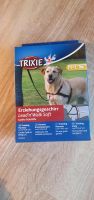 Hunde Erziehungsgeschirr Kreis Pinneberg - Schenefeld Vorschau