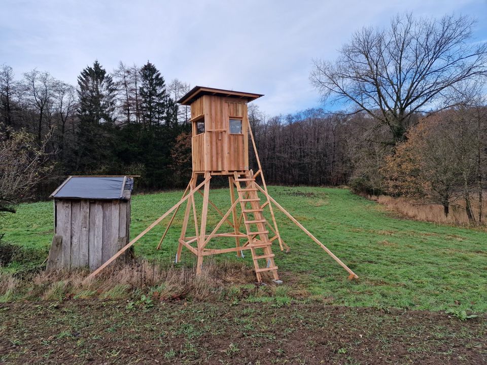 Geschlossene Jagdkanzel Hochsitz FORESTER, Lärche-Premiumqualität in Großenaspe