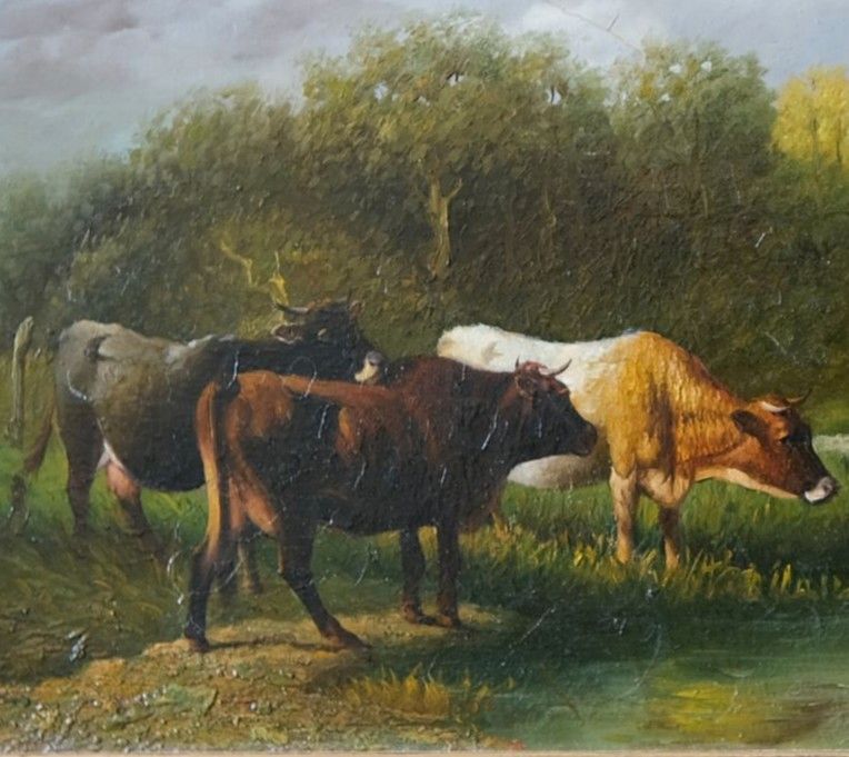Kühe am Wasser Ölgemälde - Gemälde - Ölbild in Kempten