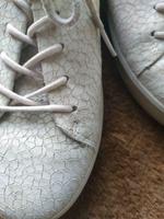 Ecco Echtleder Damen Sneaker Schnürrer Gr. 37 Nordrhein-Westfalen - Herzogenrath Vorschau