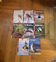 Der Falke Seevögel Zeitschrift Ornithologen 2023 2024 Berlin - Wilmersdorf Vorschau