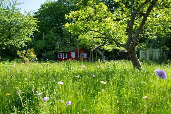 Garten in Wiesbaden in Wiesbaden