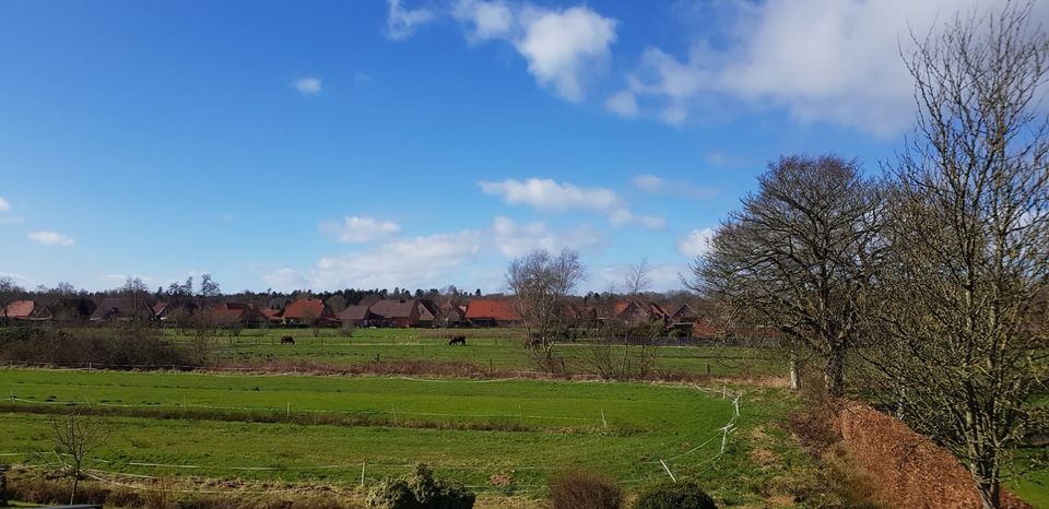 Schöne große Ferienwohnung Nordsee Ostfriesland Inseln Pfingsten in Hage