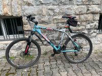 Mountainbike Final-X 52 cm Baden-Württemberg - Bad Wimpfen Vorschau