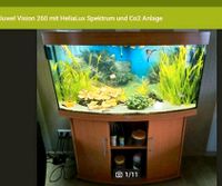 Aquarium Juwel Vision 260 mit HeliaLux Spektrum und Co2 Anlage Niedersachsen - Salzbergen Vorschau