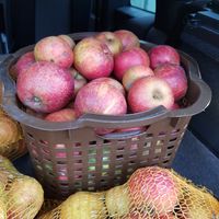 Apfelsaft 5 Liter Box neue Ernte - Abholung oder Versand Bayern - Hallbergmoos Vorschau