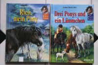 Pferdebücher: Das Pony Trio (Band 3 & 12) Niedersachsen - Diepenau Vorschau