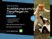 Ausbildung zum/zur Tierpfleger/in (m/w/d) Berlin - Marzahn Vorschau